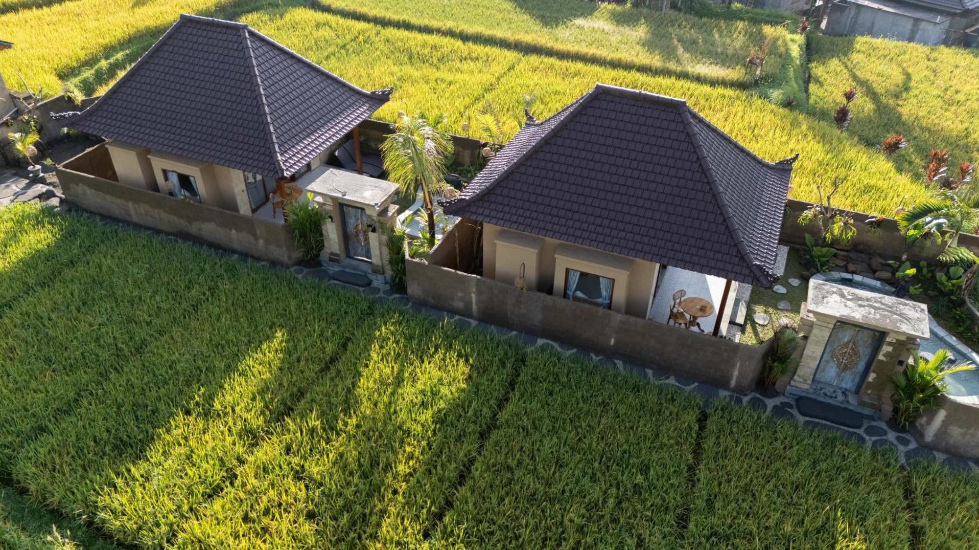 Sawah Sebatu Villa Ubud Exterior foto